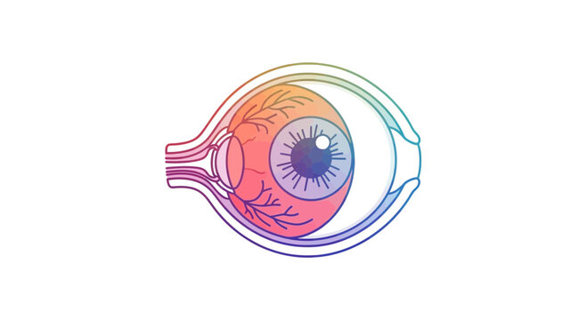 Human Eye Anatomy Diagram: Iris, Pupil, Retina, Optic Nerve - Medical Illustration