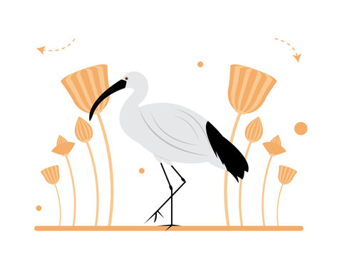 Illustration of an ibis bird. Egyptian illustrations. Flat vector concepts.