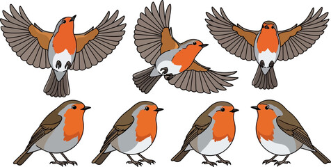 Fototapeta premium Collection of stylized European robins, depicted in flight and perched positions against a white background. Features detailed illustrations of these small birds.