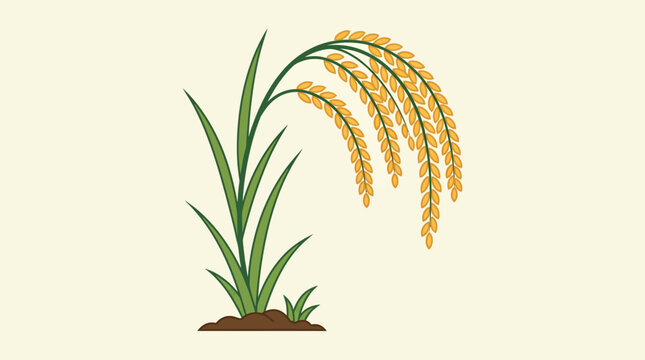 Vibrant illustration of a mature rice plant with golden grains ready for harvest, symbolizing agricultural abundance and staple food production