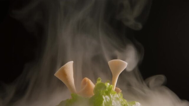 Gourmet culinary dish featuring elegantly presented mushrooms emerging from fresh greens, dramatically enveloped in a captivating cloud of swirling smoke, highlighting a sophisticated dining aesthetic
