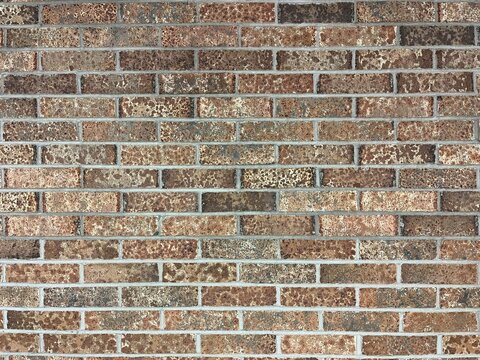 Rustic Weathered Red Brick Wall Texture with Mottled Finish