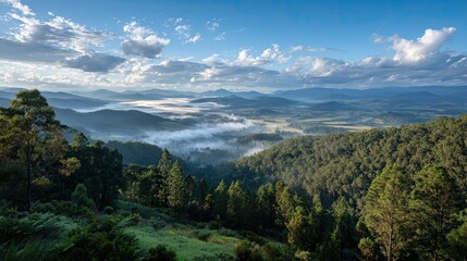 Obraz premium Rolling hills veiled in morning mist under a dramatic sky