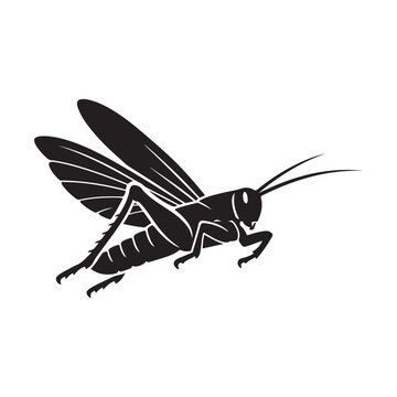 Black and white illustration of flying grasshopper insect in mid jump