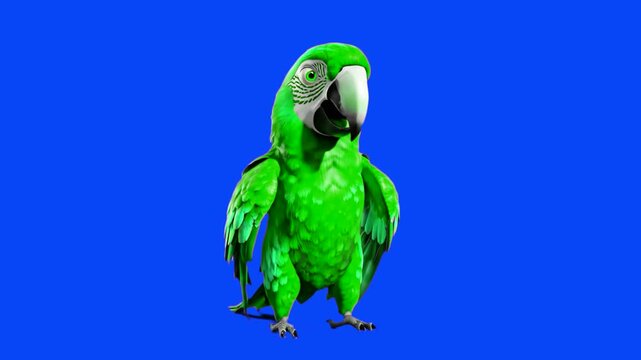 A professional 3D animation of a green macaw parrot. The character is in a standing idle pose with realistic feather textures and is isolated on a bright blue background. This asset features lip sync 