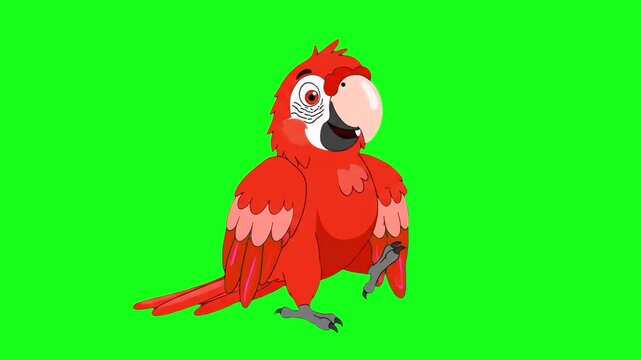 A vibrant red macaw parrot character with expressive eyes performing a rhythmic dance. Isolated on a chroma key green screen for easy integration into jungle, tropical, or educational videos.