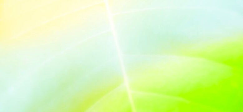 A macro shot of a vibrant green leaf, heavily overexposed, creating a soft, luminous abstract background with visible veins and glowing yellow-white light.