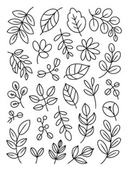 Fototapeta premium Elegant Botanical Sketches: A collection of meticulously hand-drawn leaves and floral elements in a monochrome palette, perfect for adding a touch of nature-inspired elegance to any design.