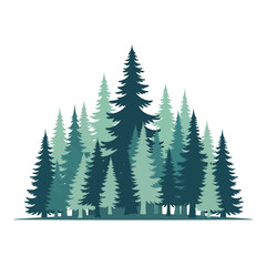 Obraz premium Group of Evergreen Pine Trees Silhouette.
