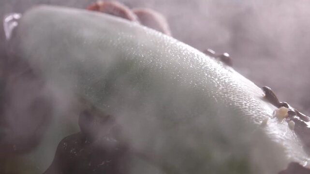 Steamed Whole Cuttlefish Preparation and Dish Korea West Sea 갑오징어 통찜 준비 과정과 음식 한국 서해안