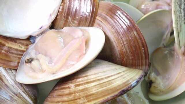 Fresh Oriental Hard Clam Sashimi Korea West Sea Tidal Flat 백합조개 회 싱싱한 조개회 한국 서해안 갯벌