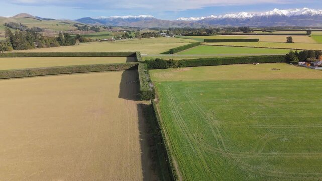 Aerial of Canterbury Shelter Belt Hedgerow Pattern