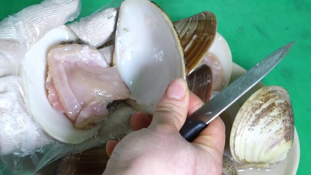 Fresh Oriental Hard Clam Sashimi Korea West Sea Tidal Flat 백합조개 회 싱싱한 조개회 한국 서해안 갯벌