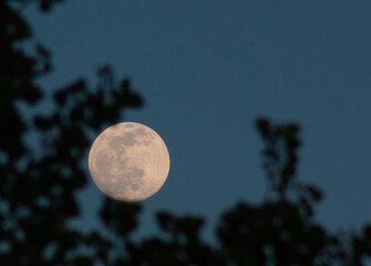 Luna © Manuel