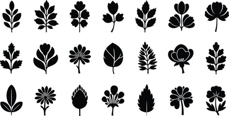 Fototapeta premium Black leaf silhouettes, 20 different types on white background, botanical plant floral leaf botanical