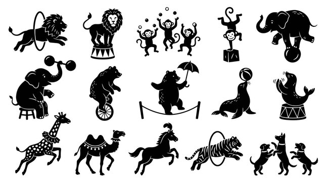 Circus Animals Silhouette Vector Icons Set - Trained Performers and Entertainment Show Glyphs