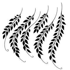 Obraz premium Elegant black silhouette of several curving willow or vine branches with delicate leaves. This minimalist botanical vector illustration is perfect for organic, nature-inspired borders and patterns.