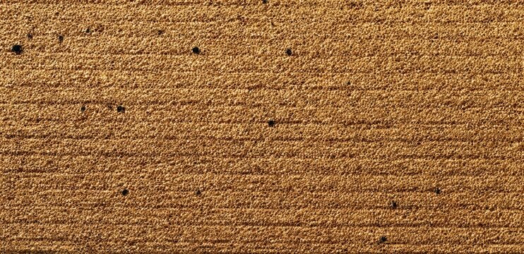 Close-up textured surface with horizontal lines and dark specks