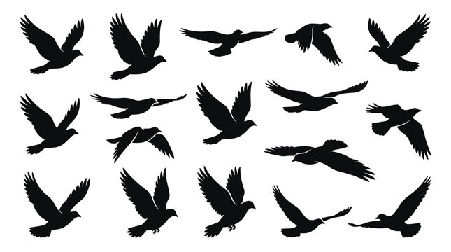 Set of flying birds silhouettes collection of black birds in flight, doves or pigeons in various poses for design elements