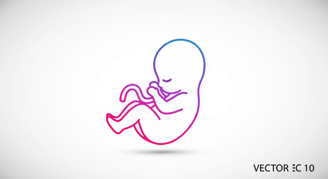 Fetus Silhouette, Early Human Development, Conception, Pregnancy, Life Cycle