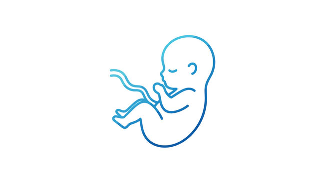 Fetus, embryo, human development, pregnancy, new life, medical illustration, blue outline