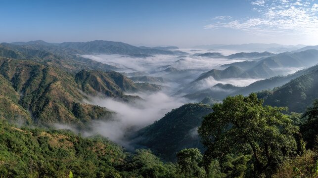 Misty valley between lush green rolling hills under a clear sky