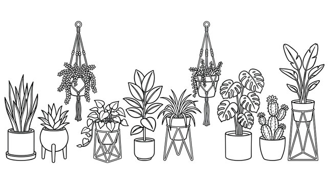 Various potted houseplants and hanging plants, botanical illustration, clean linework.