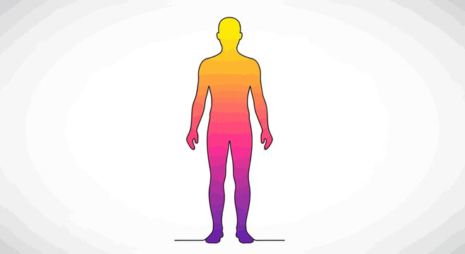 Human body temperature gradient, yellow to purple, isolated on white background