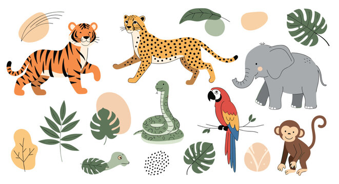 Tropical jungle animals and botanical elements like tiger cheetah elephant monkey parrot and snake arranged for educational or decorative themes.
