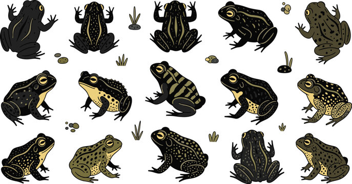 Hand drawn vector illustration set of toads and frogs in various poses with spotted patterns for nature design projects.