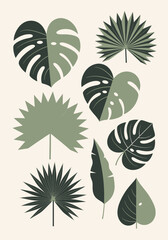 Stylish Tropical Leaf Art Collection Featuring Monstera, Palm, and Banana Leaves in Elegant Muted Green and Gold Outlines for Modern Interior Design and Branding © juki