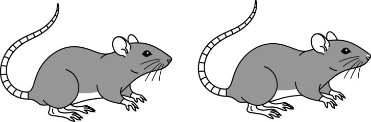 Obraz premium Realistic Gray Rat or Mouse Pair Standing Side View Vector Illustration Set on White Background