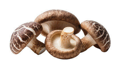 Group of shiitake mushrooms with brown caps and white gills, isolated on transparent background © Freya