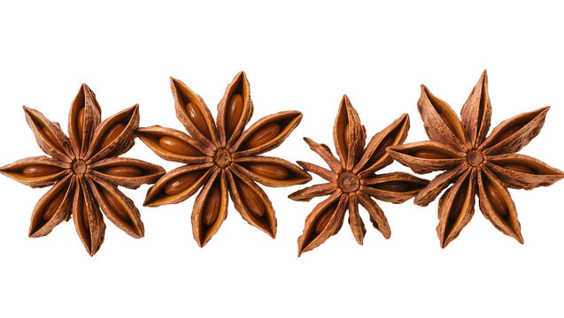 Four star anise spice pods arranged in a row, isolated on transparent background