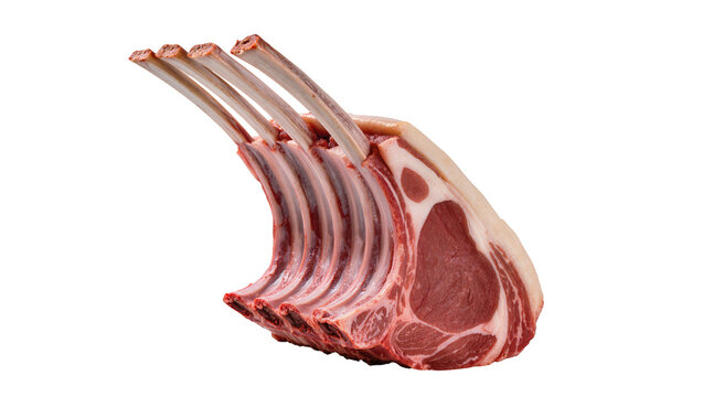 Raw rack of lamb with visible fat and bone, isolated on transparent background