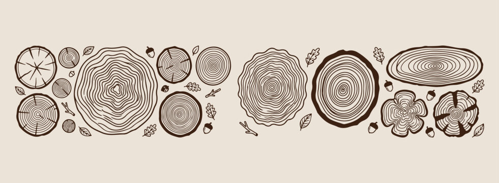 Minimal hand drawn wood log sections set, rustic tree ring trunk line illustration, hand drawn timber bark doodle background, expressive strokes concentric circles elements, organic lumber textures bl