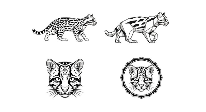 Ocelot Illustration Set - Detailed Line Art of Wild Cat.