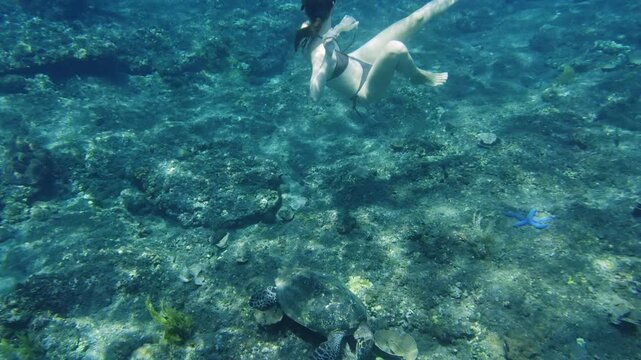 Young woman freediving and snorkeling with a sea turtle