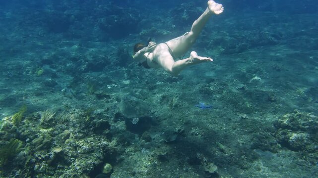 Woman freediving and snorkeling over coral reef