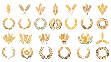 Collection of golden wheat ear icons and cereal grain laurel wreaths. © SABIKUNNAHAR