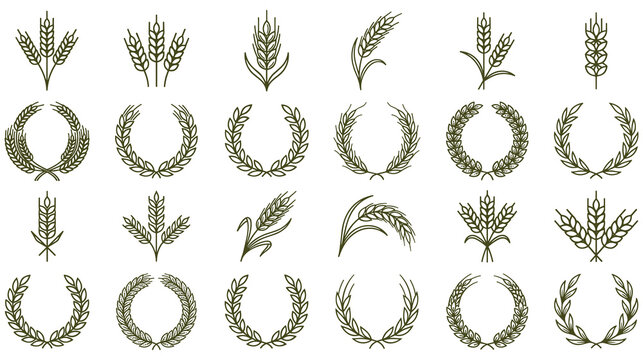 Set of minimalist green wheat line icons and circular cereal frames.