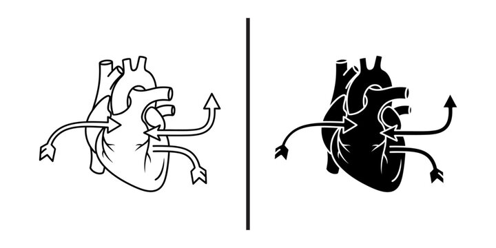 Anatomical human heart with blood flow arrows line and silhouette icon.