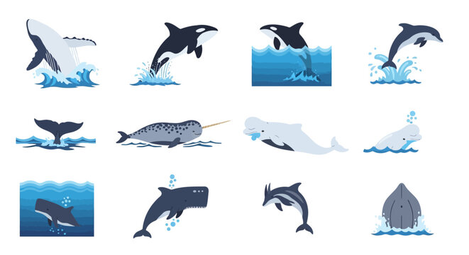 Collection of Diverse Dolphin and Whale Silhouettes in Ocean Scenes