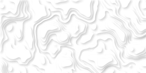 Modern location discovery vector topo map design White background with topographic world grid wave Topographic map geographic line texture. © haven lklkj11