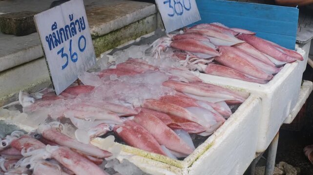 Seafood stall displaying fresh squid on ice with Thai language sign indicating calamari at local street market. Coastal food trading concept