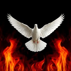 Obraz premium Holy spirit dove emerging from fire with black background white dove religious spiritual christianity transformation abstract symbolism inspiration guidance blessing powerful
