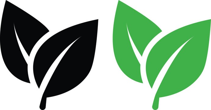  Two leaves icon. Leaf symbol. Nature organic isolated illustration. Vegetarian or vegan label. Green eco logo.