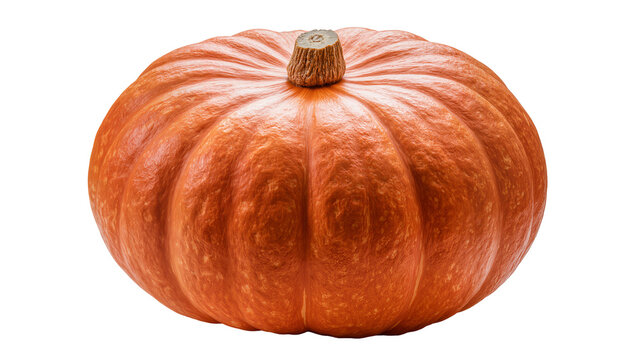 Large ribbed orange pumpkin with woody stem, isolated on transparent background