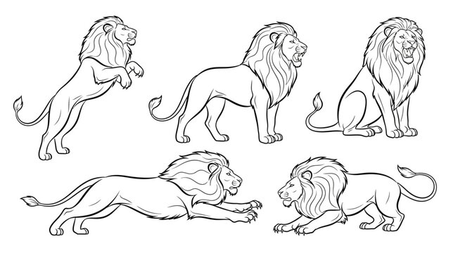 Lion set, hand-drawn sketch collection of wild cats, vector illustration