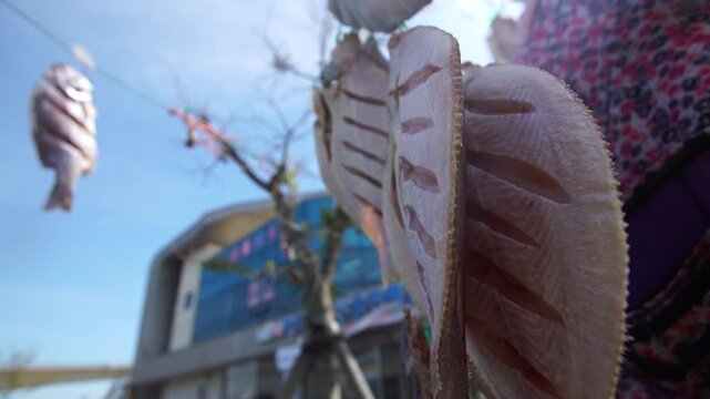 Drying Salted Fish in Sea Breeze Korea West Coast 소금간 생선 말리기 한국 서해안 해풍 건조